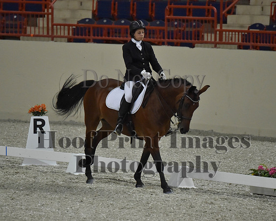CWdressageII(8-21-16)1625
