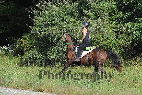 ChesapeakeCTR(9-20-14)0201