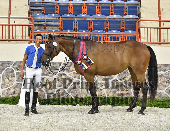 CWdressageI(8-20-16)1693