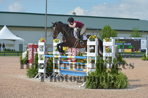 BRSa(5-17-14)HChAdJ0065