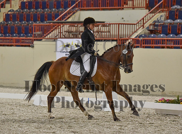 CWdressageI(8-20-16)1427