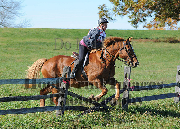Cheshire(10-19-14)0472