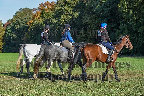 CheshirePC(10-18-20)0133