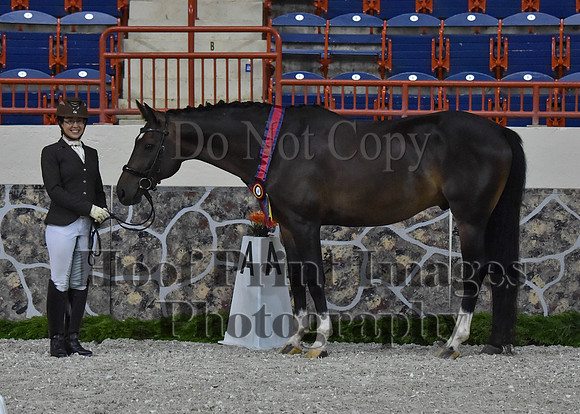 CWdressageII(8-21-16)1423