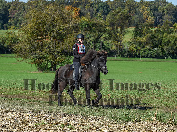CheshirePC(10-18-20)0303