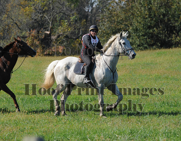 Cheshire(10-20-13)0664