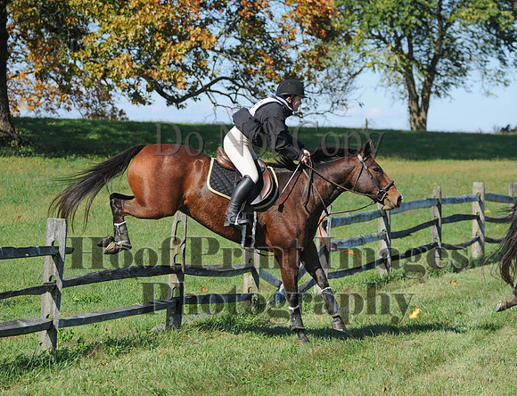 Cheshire(10-20-13)0137