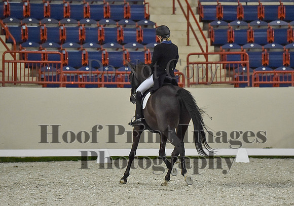 CWdressageI(8-20-16)0696