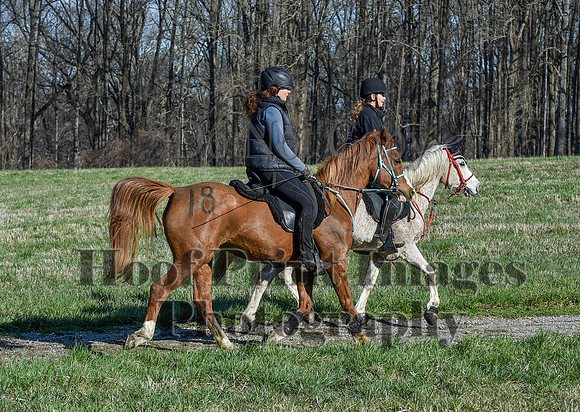 ChesapeakeSpring(4-10-22)0518