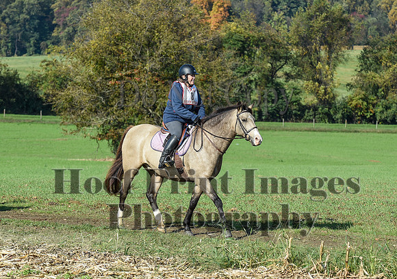 CheshirePC(10-18-20)0102