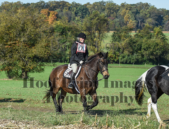 CheshirePC(10-18-20)0101