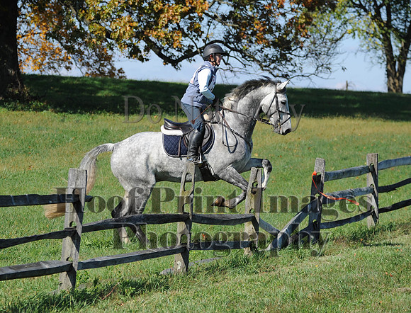Cheshire(10-20-13)0180