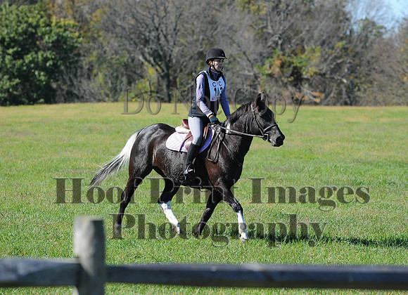 Cheshire(10-19-14)0112