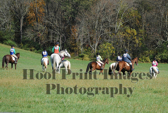 Cheshire(10-20-13)0353