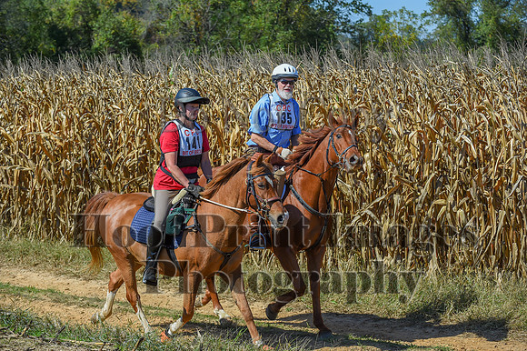 CheshirePonyClubPC(10-6-24)0642