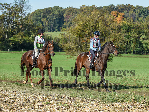 CheshirePC(10-18-20)0081