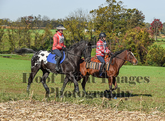 CheshirePC(10-18-20)0344