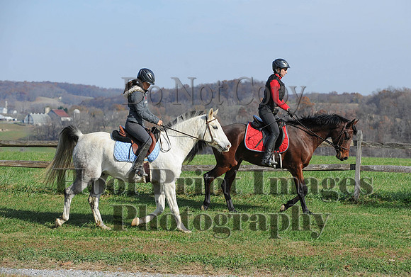 AndrewsBr(11-9-14)0120