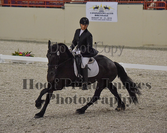 CWdressageII(8-21-16)1250