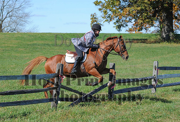 Cheshire(10-19-14)0081