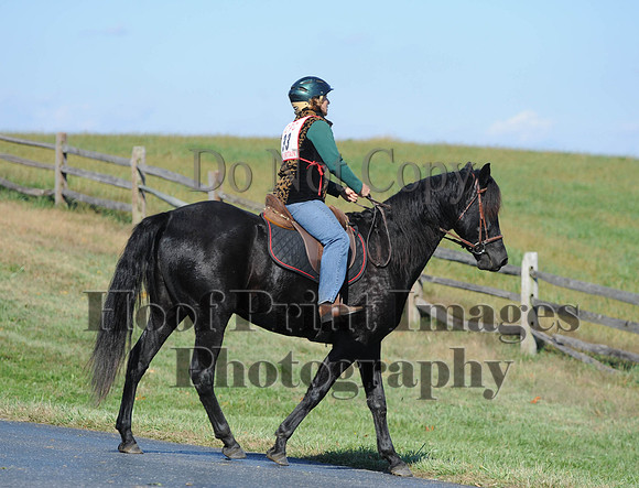 Cheshire(10-20-13)0367