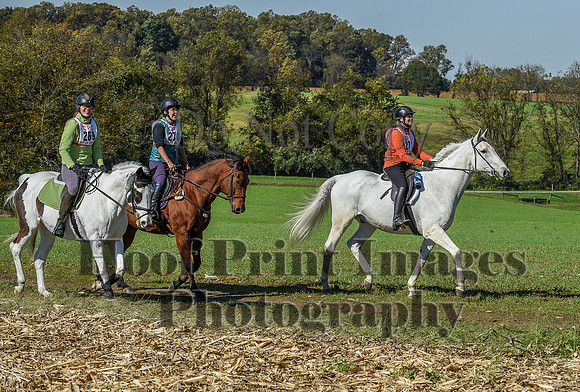 CheshirePC(10-18-20)0573