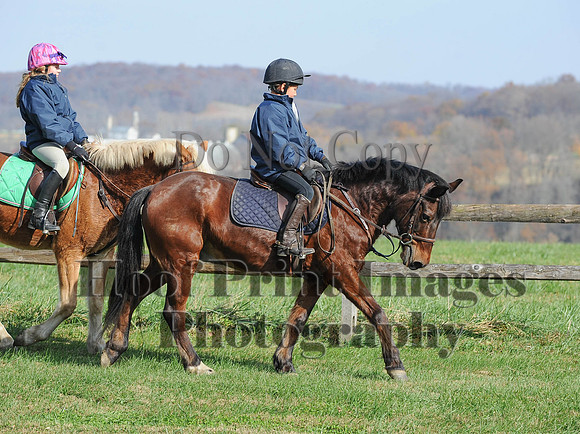 AndrewsBr(11-9-14)0148