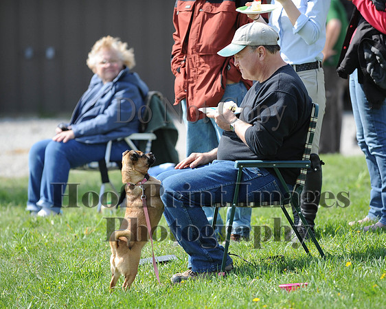 Hal(5-3-14)0564