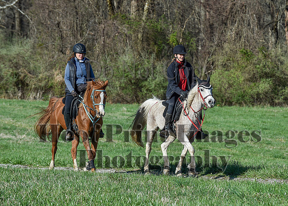 ChesapeakeSpring(4-10-22)0502