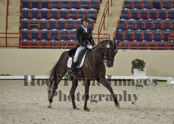 CWdressageI(8-20-16)0702