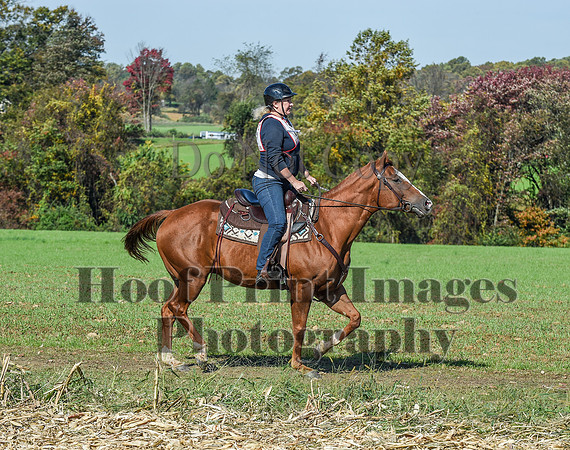 CheshirePC(10-18-20)0530