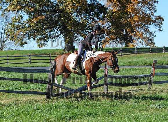Cheshire(10-19-14)0437