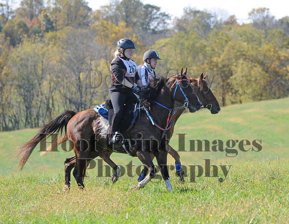 Cheshire(10-20-13)0327