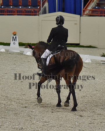 CWdressageII(8-21-16)1632