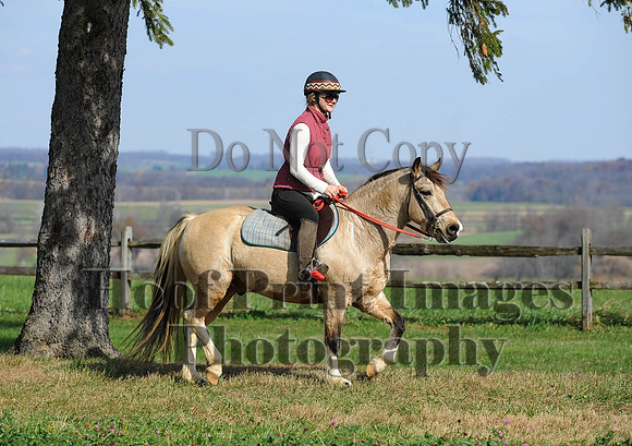 AndrewsBr(11-9-14)0067