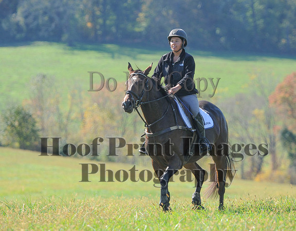 Cheshire(10-20-13)0076
