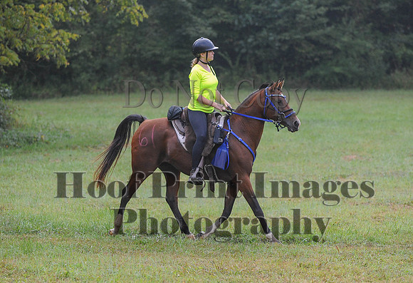 ChesapeakeCTR(9-20-14)0051