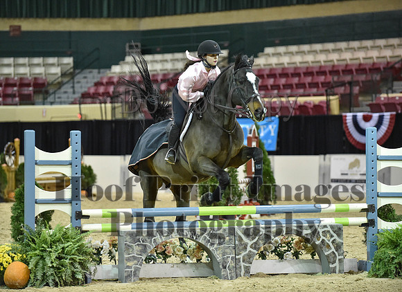MidAtEqFest(11-14-15)1707