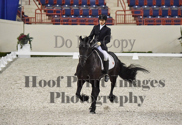 CWdressageI(8-20-16)0083