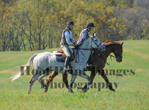 Cheshire(10-20-13)0286