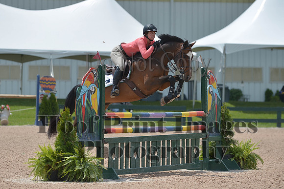 BRSa(5-17-14)HChAdJ0257