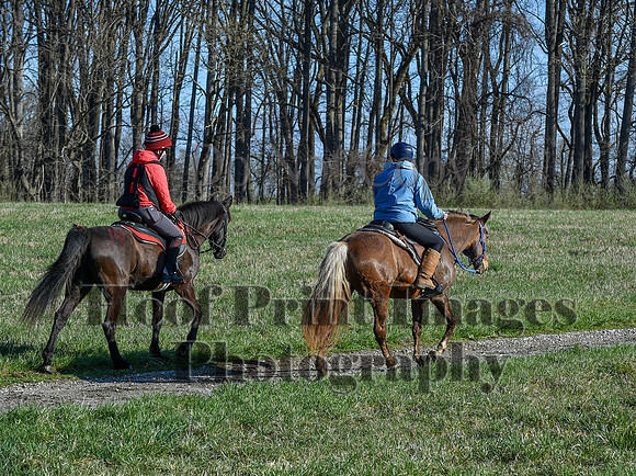 ChesapeakeSpring(4-10-22)0446