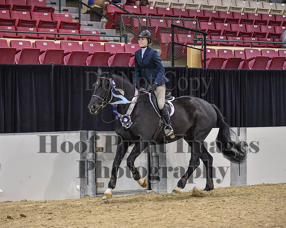 MidAtEqFest(11-15-15)0440
