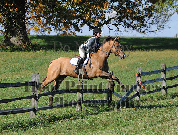 Cheshire(10-20-13)0585
