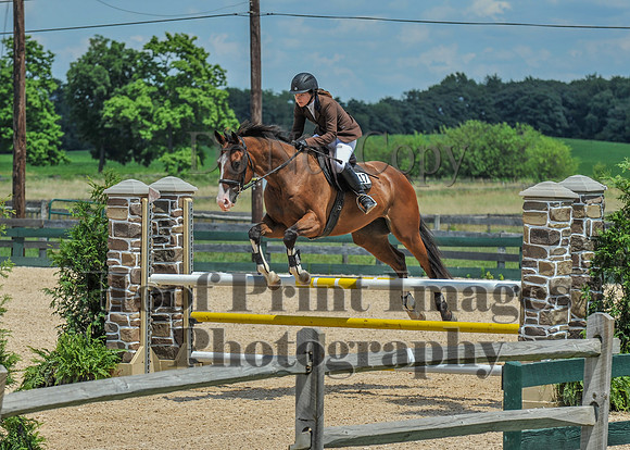Mason-Dixon1(7-28-18)0460