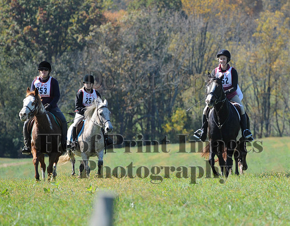 Cheshire(10-20-13)0051