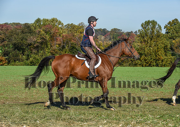 CheshirePC(10-18-20)0260