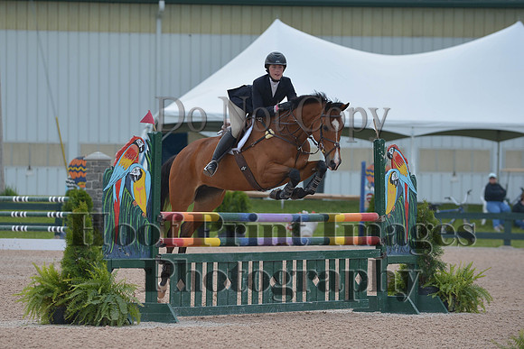 BRSa(5-17-14)HChAdJ0238
