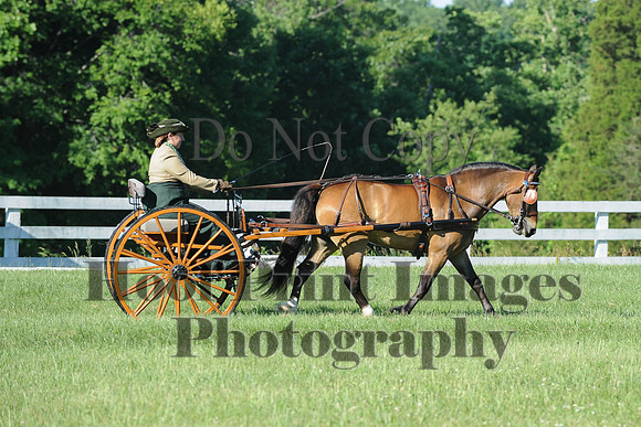 CDE(6-7-14)0093