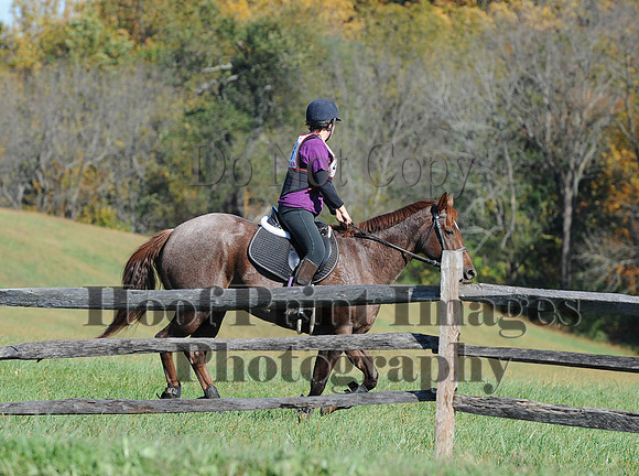 Cheshire(10-19-14)0065